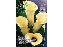 66,8���. ����� ���� ��� �����(�������� ���� �� 2 ��., ����������� ����� 1��.).jpg