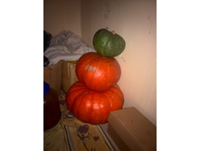 ������� ��������