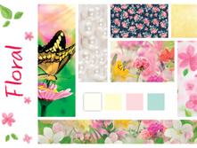 ������� Barbaras �����-���� 2017 page 24.jpg