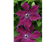 136,6���. �������� ����(�������� ���� �� 2 ��., ����������� ����� 1��.).jpg