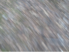 IMG 20161029 080739.jpg