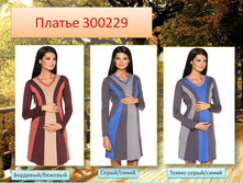 300229 ������