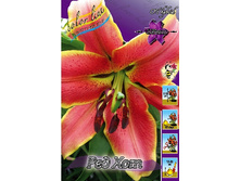 29,03���. ����� ��� ���(��� 7 ��. ���������� �� 2��.).jpg