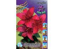 32,88���. ����� ��������(��� 5 ��. ���������� �� 2��.).jpg