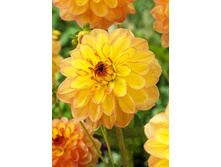 83,5���. �������� ����� ��� �����(�������� ���� �� 1 ��., ����������� ����� 1��.).jpg