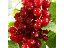 143���. ��������� ������� ������� ��� ����.jpg