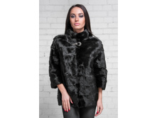 ����� �������� �8