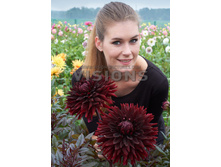 110���. �������� ���� ����(�������� ���� �� 1 ��., ����������� ����� 1��.)���16.jpg