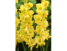 9,87���. ��������� ������� ����(���������� ������ ������ ���������� �� 7 ��.)���17.jpg