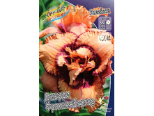 187,9���. �������� ������ �������������(�������� ���� �� 1 ��., ����������� ����� 1��.).jpg