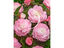 58,13���. ������� ����� ����������(�������� ���� �� 3 ��., ����������� ����� 1��.)���17.jpg