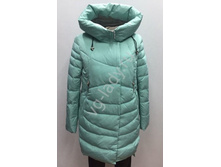 6059 4.jpg  4900�.