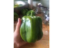 �� ����� �����������