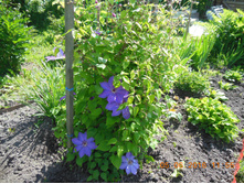 DSCN2115.JPG