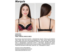 628.00 312041*10313	����������� Push-up ���. Mar*quis �������