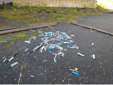 P 20161002 105806.jpg