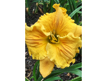 156,3���. �������� ��� �����(�������� ���� �� 1 ��., ����������� ����� 1��.).jpg