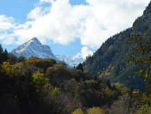 DSC 7290.JPG