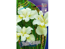 54,45���. ���� ��������� ���� �����(�������� ���� �� 2 ��., ����������� ����� 1��.).jpg