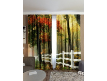 ������ �����.jpg