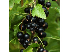 143���. ��������� ޣ���� ��� �����.jpg