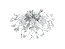 294013316 9200�.jpg