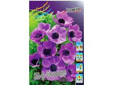 5,21���. ������� �-� ������(���������� ������ ������ ���������� �� 10 ��.).jpg