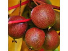 179���. ��������� ������ ������ (������� ���).jpg