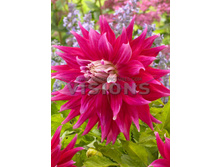 83,5���. �������� ���� ���� ����(�������� ���� �� 1 ��., ����������� ����� 1��.)���16.jpg