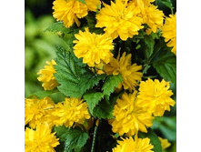 136���. ������ ����������.jpg