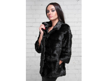 ����� �������� �8