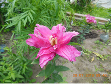 DSCN2162.JPG