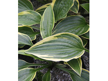 54,45���. ����� ���� ������(�������� ���� �� 2 ��., ����������� ����� 1��.)���16.jpg