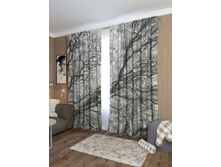 ������ �������.jpg