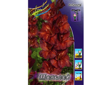 12,53���. ��������� �������(���������� �� ����� �������� �� 7��.).jpg