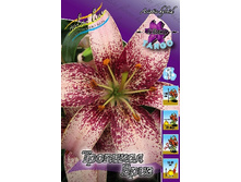 29���. ����� �������� ����(��� 5 ��. ���������� �� 2��.).jpg