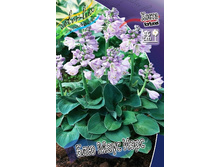 70,25���. ����� ��� ���� ����(�������� ���� �� 2 ��., ����������� ����� 1��.).jpg