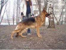 53a7e467124d2 oaka.JPG