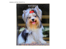 ������� ������� ������� �6, 160 ������ "�����" 44,23��� ���.4��