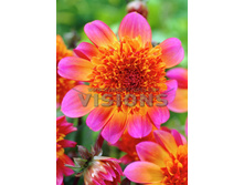 77,6���. �������� ����������(�������� ���� �� 1 ��., ����������� ����� 1��.)���16.jpg