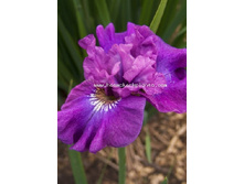 82,9���. ���� ��������� ����� ����(�������� ���� �� 2 ��., ����������� ����� 1��.).jpg