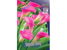 66,8���. ����� ������ ����(�������� ���� �� 2 ��., ����������� ����� 1��.).jpg