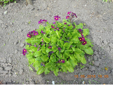 DSCN2109.JPG