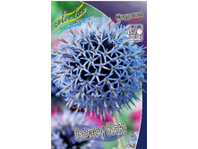 113,7���. ��������� ������ ���(�������� ���� �� 1 ��., ����������� ����� 1��.).jpg