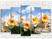 ����� �������� 5-1.jpg