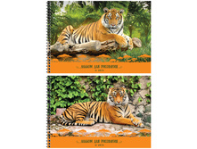 ������ ��� ��������� 32�. �4 �� ������ �������. �����, ��������� �������� 36,84.jpg