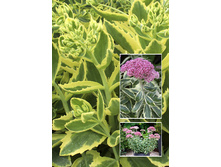 170,5���. ������ ����� ����(�������� ���� �� 1 ��., ����������� ����� 1��.).jpg