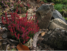 152���. ������ ���� �����.jpg