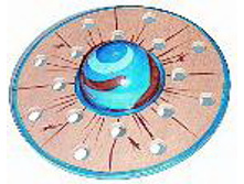 Sh-040-150.jpg