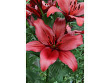 21,43���. ����� �������(��� 7 ��. ���������� �� 2��.).jpg